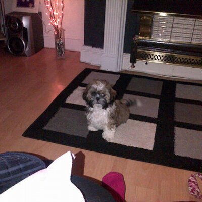 Profile Picture of Christine Bates (@chrissyB_1982) on Twitter
