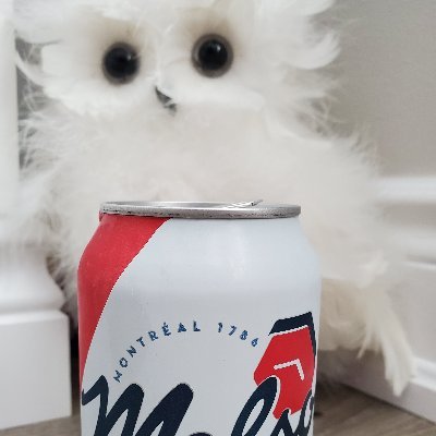 Profile Picture of Samia D Barros (@SamiaDBarros1) on Twitter