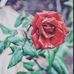 Profile Picture of Kip Kellar (@Kip-Kellar) on Facebook