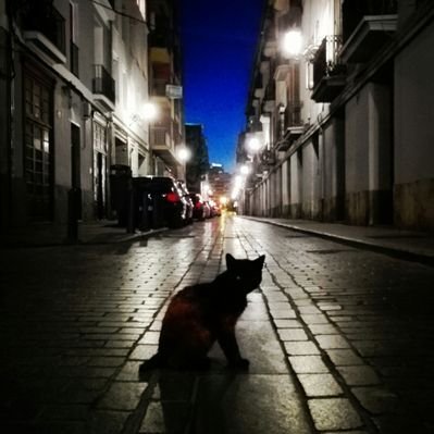 Profile Picture of Carlos Moliner (@Carlos_MolinerF) on Twitter