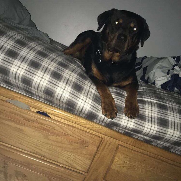 Profile Picture of Kyle Lilley (@lilleyk20) on Poshmark