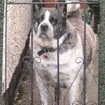 Profile Picture of Brian Lahart (@brianlahart) on Instagram