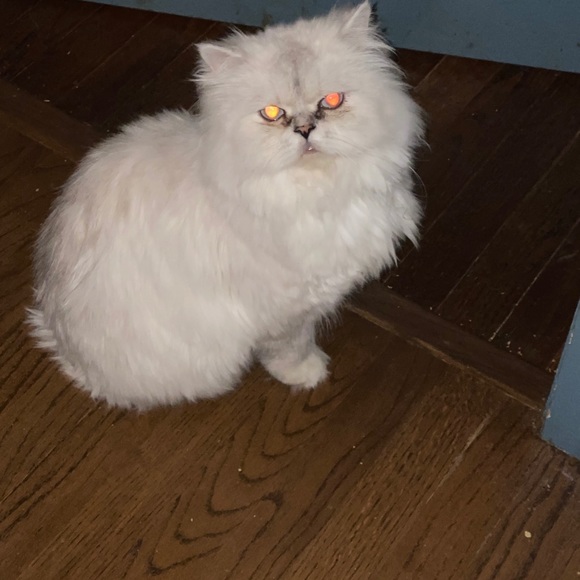 Profile Picture of Debbie Grant (@debgrant1) on Poshmark