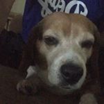 Profile Picture of Mark Hedrick (@markshawn22) on Instagram