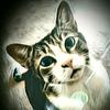 Profile Picture of Jenny Roberts (@@blondiej916) on Tiktok
