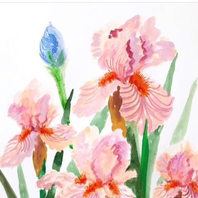 Profile Picture of Ivy Sun (@ivysun17) on Twitter