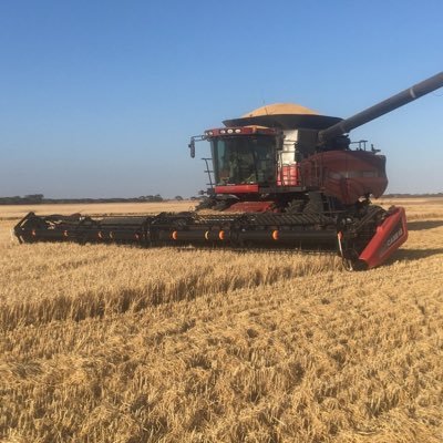 Profile Picture of Matt Flint (@flint_mat) on Twitter