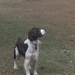 Profile Picture of Matthew Craven (@matthew.craven.568) on Facebook