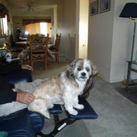 Profile Picture of Wade Bender (@wade-bender-4) on Quora