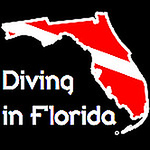Profile Picture of Chris Jude (@divinginflorida3) on Flickr
