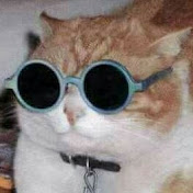 Profile Picture of JAVIER MARROQUIN (@javiermarroquin1088) on Youtube