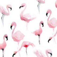 Jacob Eugene Crumley - Twitter Profile Picture of Jacob Eugene Crumley (@EugeneCrumley) on Twitter