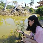 Profile Picture of Joanne Ting (@joannetingkingw) on Instagram