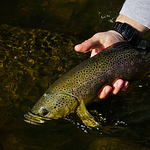 Profile Picture of Joshua Ryan (@josh.ryan0218) on Flickr