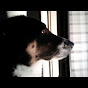 Profile Picture of Betty Murphy (@@bettydenean) on Tiktok