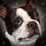 Profile Picture of Omar Lezama (@lezama3798) on Instagram