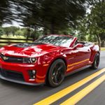 Profile Picture of Trevor Randall (@brat_face123) on Instagram