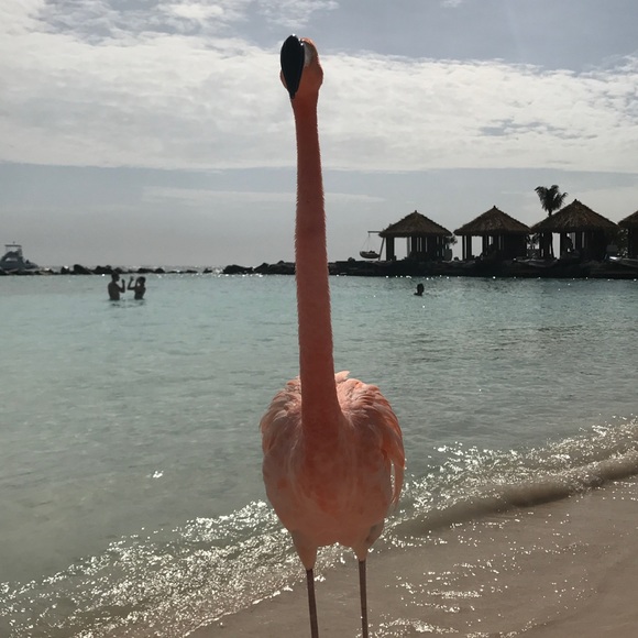 Profile Picture of Jaime Gromala (@barbotch76) on Poshmark