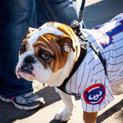 Profile Picture of Rick Pat, Esq. (@Chi_Barrister) on Twitter