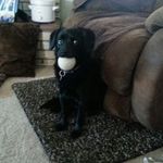 Profile Picture of Janet Boyd (@janet.boyd.1004) on Instagram