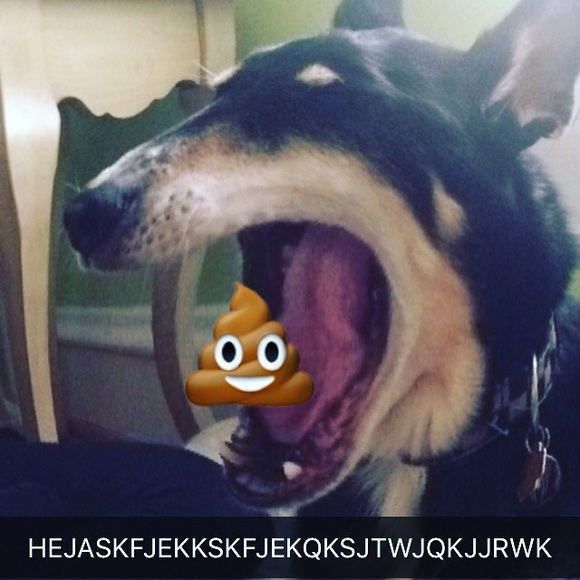 Profile Picture of Beef Jakey (@beefjakey) on Poshmark