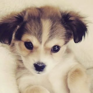 Profile Picture of 😇Dominic_Arce🤓 (@arcedominic) on Instagram