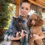 Profile Picture of Питомник чихуа Julia House (@juliahouse_chihua) on Instagram