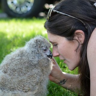 Dani Poirier Larson - Instagram Profile Picture of Dani Poirier Larson (@danipoirier) on Instagram