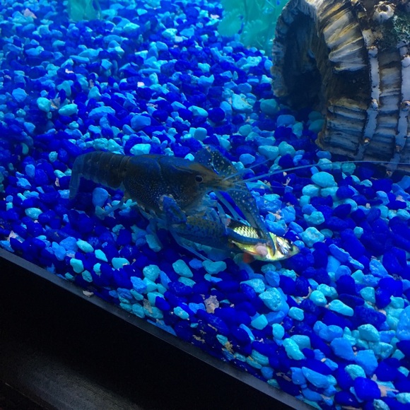 Profile Picture of Brian Bowers (@bowers2551) on Poshmark