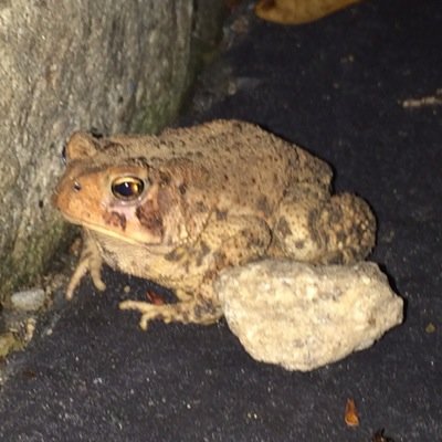 Profile Picture of Sam McCabe (@smc1476) on Twitter