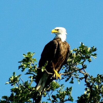 Profile Picture of Jeremy Gossen (@GossenJeremy) on Twitter
