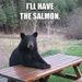 Profile Picture of Bryce Salmon (@salmbryc) on Pinterest