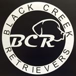 Profile Picture of Eric Williamson (@blackcreekretrievers) on Instagram