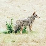 Profile Picture of Víctor Barrantes Aragón (@victor_barrantes_aragon) on Instagram