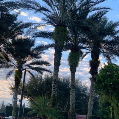 Profile Picture of Derek Hammond (@DerekHa80823867) on Twitter