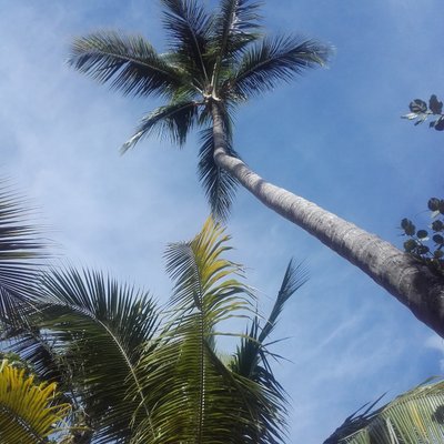 Profile Picture of Andreas Jäger (@BlechbiegerJger) on Twitter