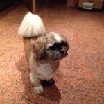 Profile Picture of Clare Hennessy (@craftynannyclare) on Instagram