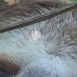 backup - Instagram Profile Picture of backup (@alexlesperancebackup) on Instagram