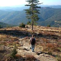 Profile Picture of Catherine Evenou Ferron (@catherineevenou) on Pinterest