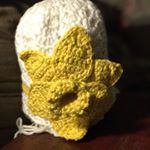 Profile Picture of Nancy Piazza (@knitandpurled) on Instagram