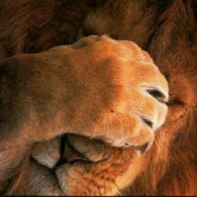 Profile Picture of Julian Nicolas (@juliannicolas19) on Twitter