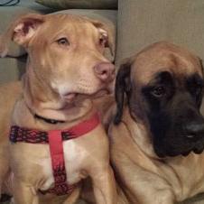 Profile Picture of Tracey Parrott (@tracey_parrott) on Twitter