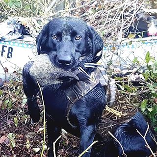 Joseph P Gahrmann - Facebook Profile Picture of Joseph P Gahrmann (@sykk.sportfishing) on Facebook