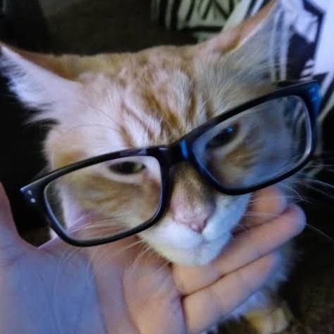 Profile Picture of Calebre (@calebree) on Tiktok