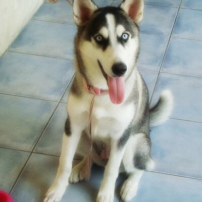 Profile Picture of Matthew Cortez (@matthewcortez5) on Twitter