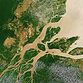 Profile Picture of Amazon River - Wikipediaon Wikipedia