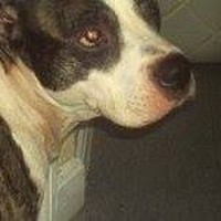 Profile Picture of Robin Brady-benton (@robin-brady-benton) on Quora