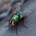 Profile Picture of Brian Maurice Sharman (@brian.m.sharman) on Instagram