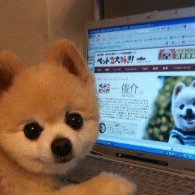 Profile Picture of Nan Liu (@nan.liu.9404) on Facebook