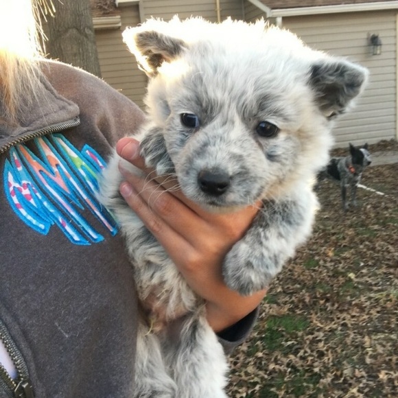 Profile Picture of Royce Harris (@rhw1995) on Poshmark